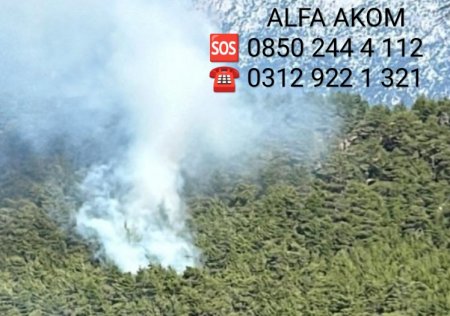 Antalya Manavgat'ta Orman Yangını 