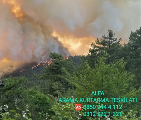 ORMAN YANGINLARI ZİRVE YAPTI